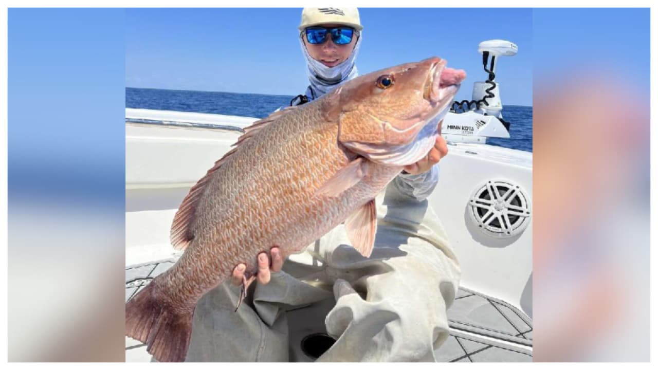 ¡Un monstruo marino! Pescan a enorme pargo de manglar frente a la costa de Carolina del Norte