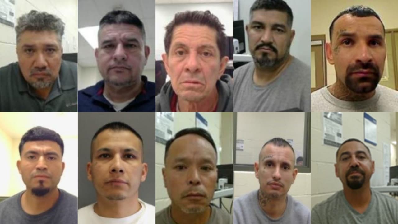 Operativos en Houston: ICE asegura que capturó a más de 700 personas con historial criminal en mayo