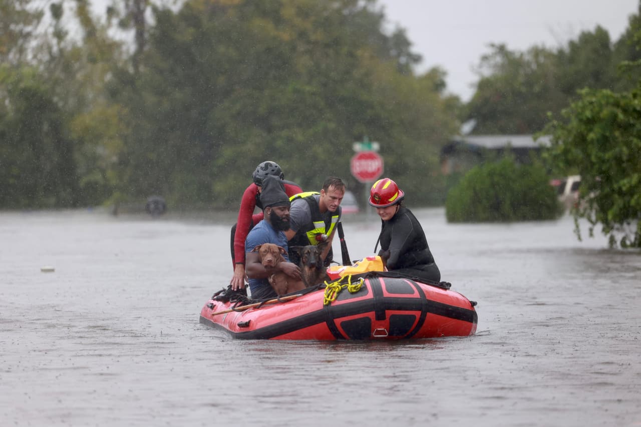 Otro de los rescates acuáticos de mascotas en el área de Orlo Vista en el oeste de Orlando.