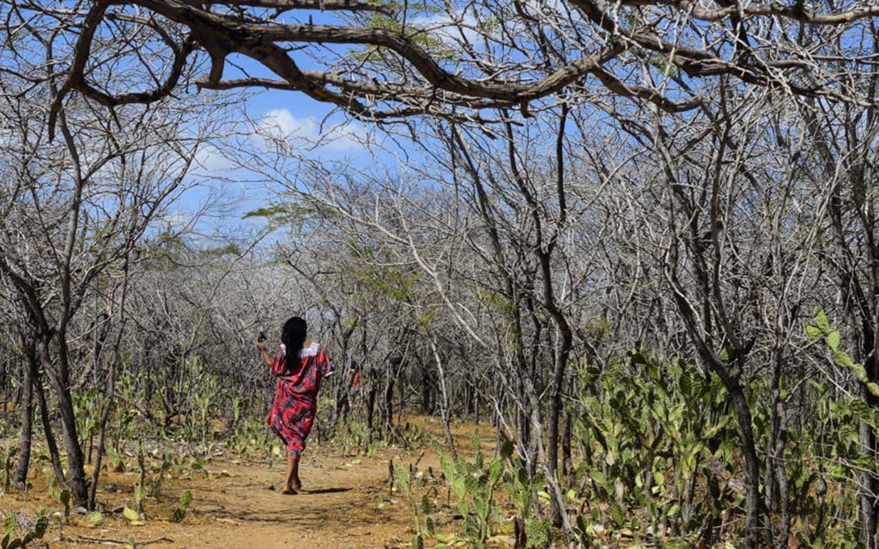 El cambio climático amenaza al mayor grupo indígena de Colombia