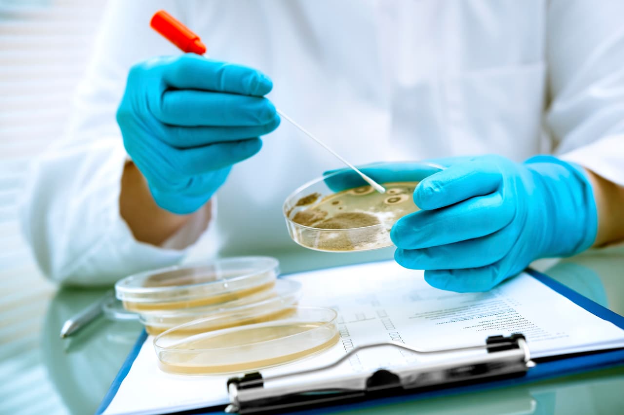 Florida registra 26 casos de bacteria "come carne" en el estado