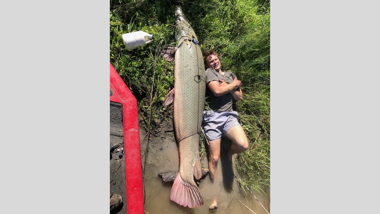 Al atrapar un enorme pejelagarto de 207 libras, pescador rompe récord del Lago Corpus Christi
