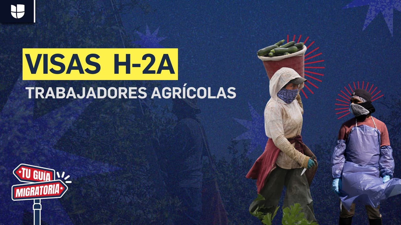 Tu guía migratoria|Visa H-2A: La visa que te permite trabajar legalmente en el campo en Estados Unidos