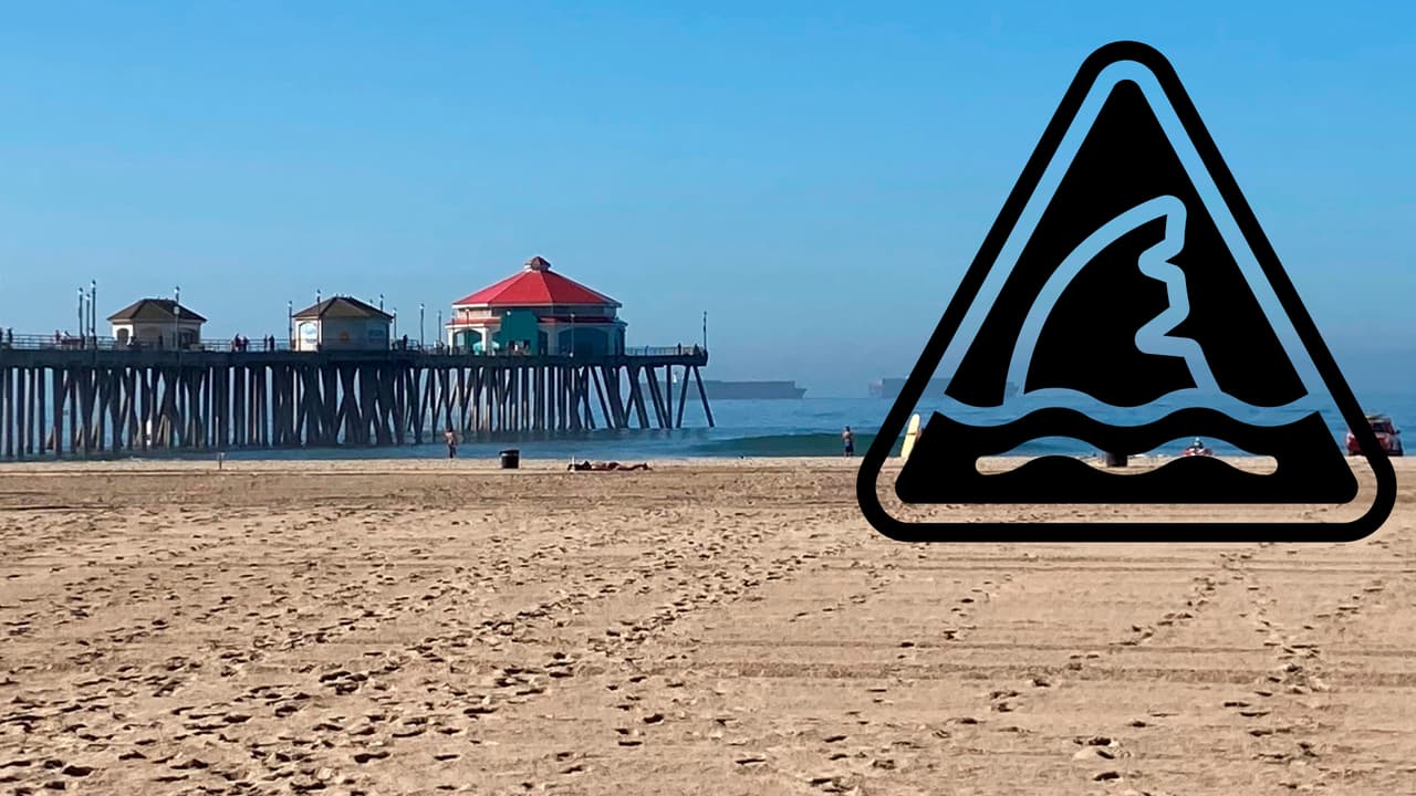 Salvavidas alertan a bañistas por avistamiento de dos tiburones en Huntington Beach