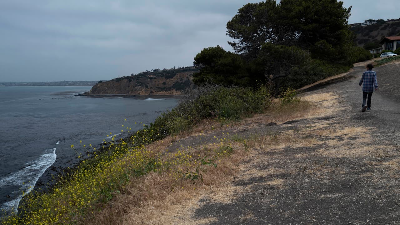Dos piernas y un fémur: encuentran más restos humanos en una playa del sur de California
