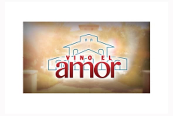 "Vino El Amor" es una telenovela que se desarrolla en los viñedos del valle de Napa, California donde estadounidenses de origen mexicano trabajarán para alcanzar el Sueño Americano y también buscarán el amor. "Vicente", un hombre viudo y en depresión, volverá a creer en la felicidad con la llegada de Laura, una joven espontánea que regresará a su vida después de muchos años.
