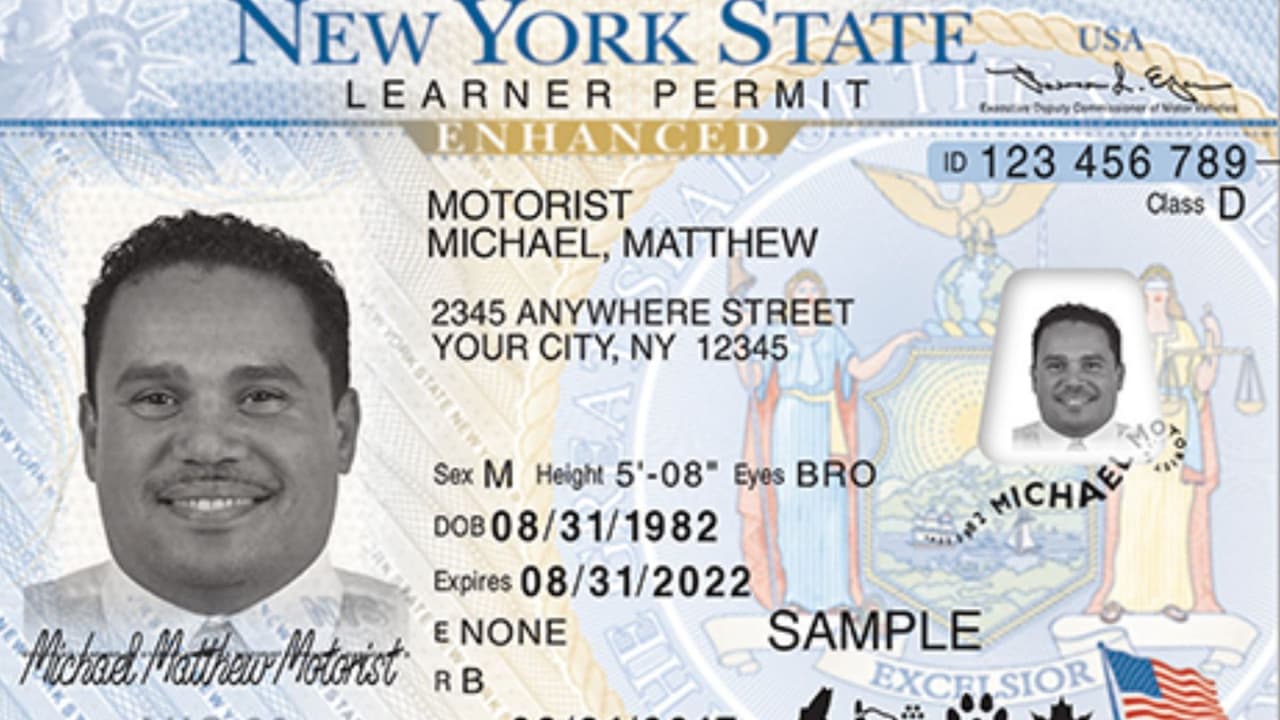 Departamento de vehículos de NY habilita sitio web para agilizar licencias de no conductor