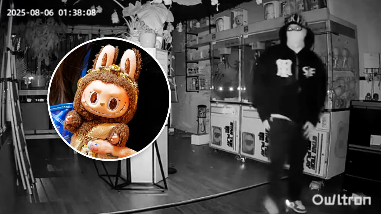 Roban muñecos Labubu valorados en miles de dólares a negocio hispano en LA