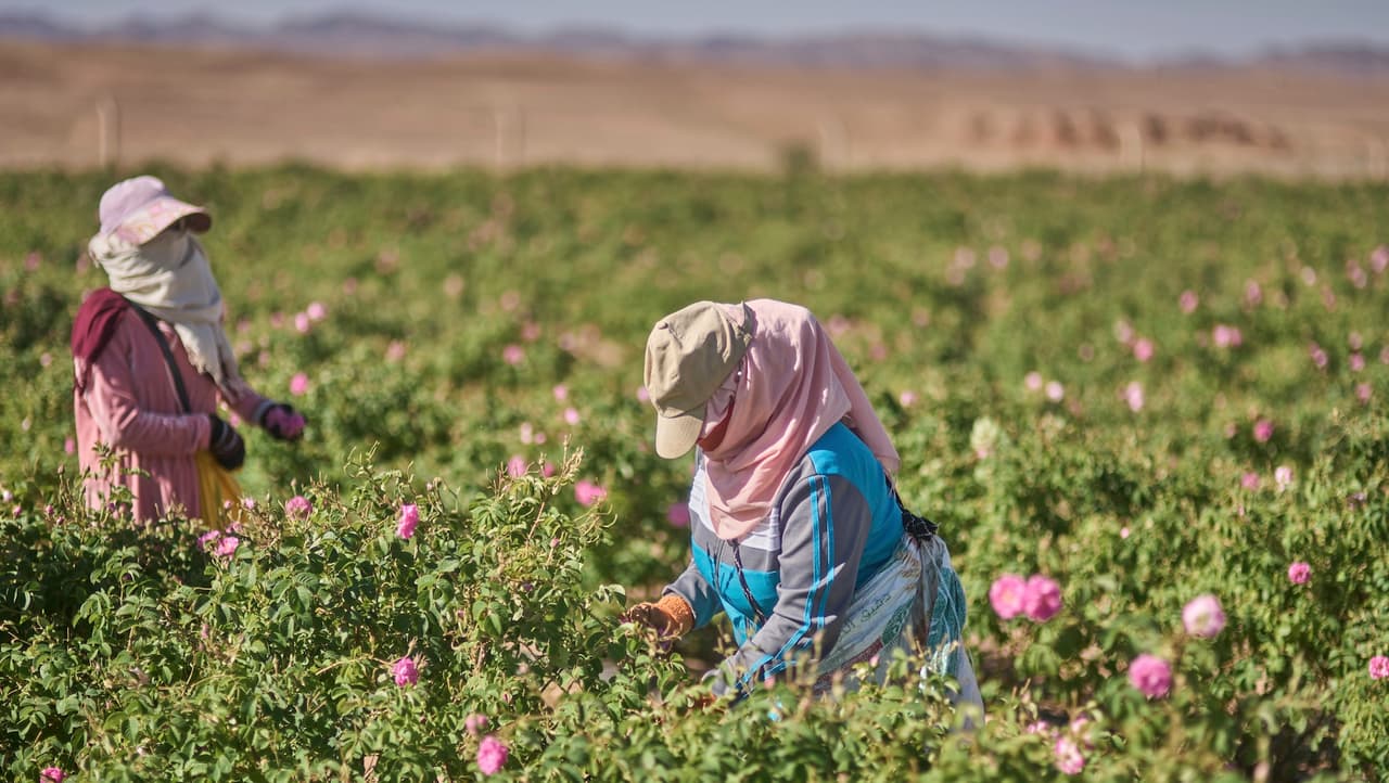 Senador Alex Padilla propone nuevo camino a la ciudadanía para inmigrantes con más de siete años en EE. UU.