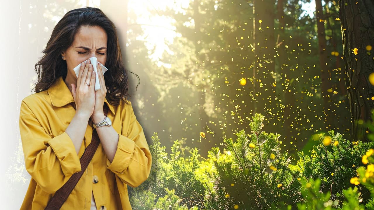 El carro amaneció amarillo, no es polvo cualquiera...
<br>En Texas, la primavera entra
<b>por la nariz, por los ojos, por la garganta. </b>
<br>
<b>Cada año pasa lo mismo: </b>niños con estornudos, adultos con congestión, casas cerradas cuando afuera el estado del tiempo invita a salir.
<br>La causa casi siempre es la misma:
<b>polen en el aire.</b>
<br>Entender qué tipo de polen está circulando no es un dato técnico, es
<b>una herramienta práctica para saber qué hacer hoy.</b>