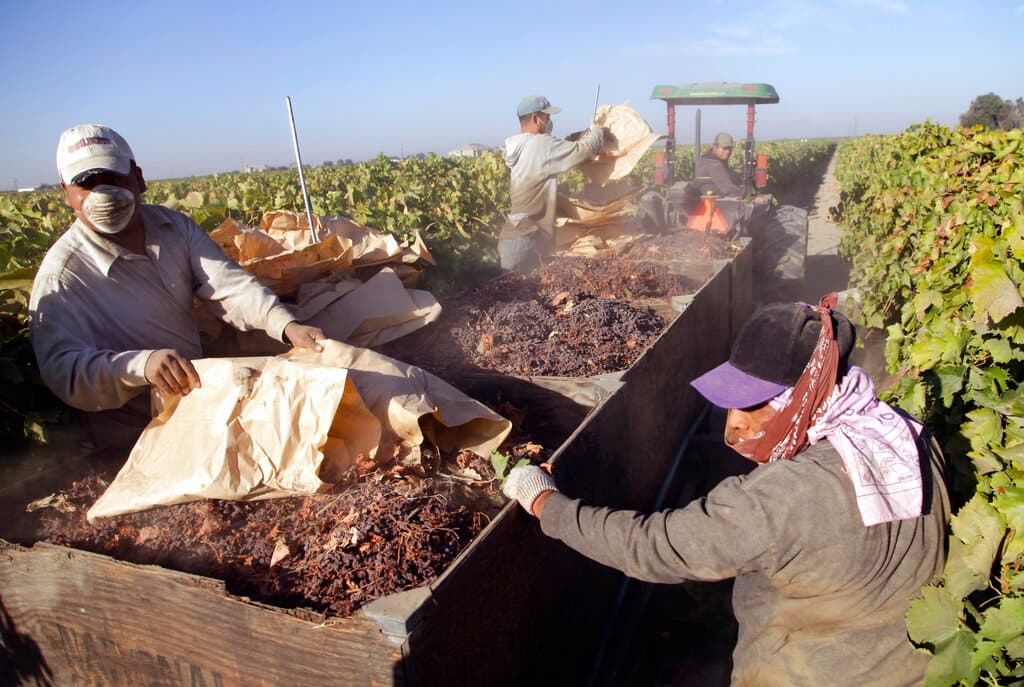 <b>Si soy indocumentado, ¿puedo solicitar el pago único de $600? </b>Según el Departamento de Agrícultura de los Estados Unidos (USDA) este alivio está destinado para todos aquellos trabajadores que prestaron sus servicios en el período de la emergencia sanitaria por covid-19.
<br>
<br>Por lo que el estatus migratorio de los solicitantes no es relevante para realizar el proceso de aplicación y recibir el alivio.