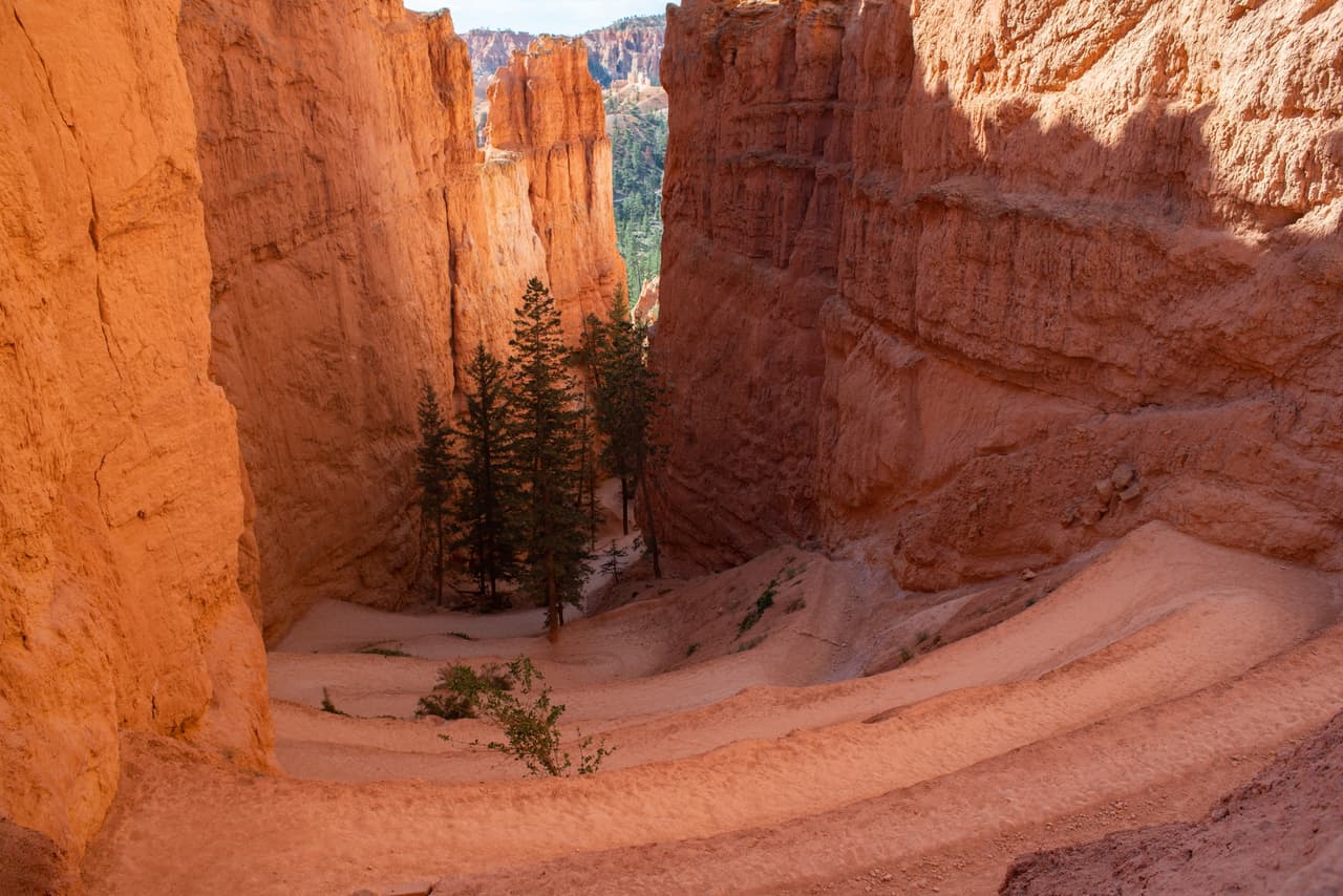 Bryce Canyon National Park
<br>Aunque nunca es un mal momento para visitar el Parque Nacional Bryce Canyon, el Día de los Caídos es normalmente el fin de semana más ocupado del año del parque. Los estacionamientos y los campamentos normalmente se llenan tarde por la mañana, así que saber qué esperar puede ayudarte a disfrutar de una visita predecible. Toma tu tiempo y disfruta de este lugar que está a 5 horas aproximadamente de Salt Lake City.