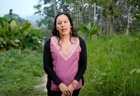<b>SECRETARÍA DE DESARROLLO SOCIAL:</b> Estará a cargo de
<b>María Luisa Albores González.</b> Originaria Chiapas, es ingeniera Agrónoma egresada de la Universidad Autónoma Chapingo y pertenece a la cooperativa campesina Tosepan Kali, en Puebla. Uno de sus principales objetivos será destinar más recursos al campo porque, asegura, es donde se concentra la pobreza en México. Ella cree que la mejor forma de hacer su trabajo es desde el territorio y no desde el escritorio. Además, asegura que las despensas que brindan los actuales programas sociales como huevo deshidratado son “repugnantes”. Busca trabajar con las escuelas rurales para impulsar huertos que puedan servir de alimento saludable a los propios niños.
