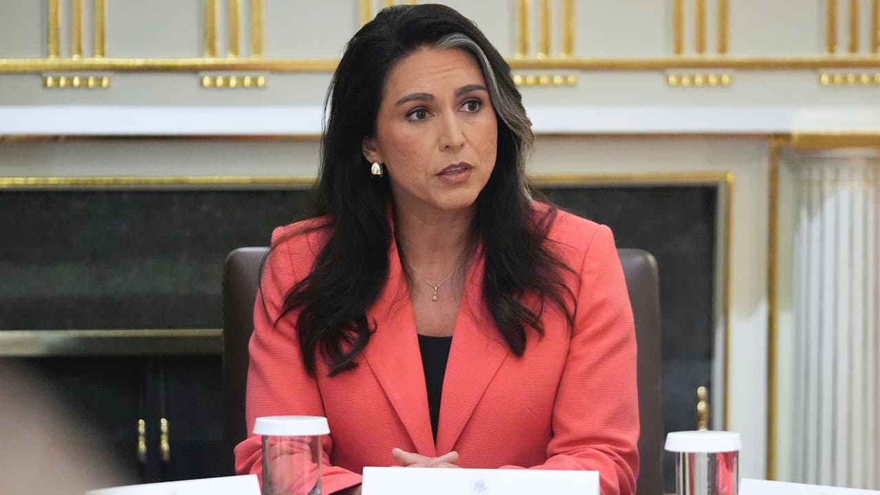 Gabbard destituyó abruptamente a experta en Rusia luego de cumbre entre Trump y Putin