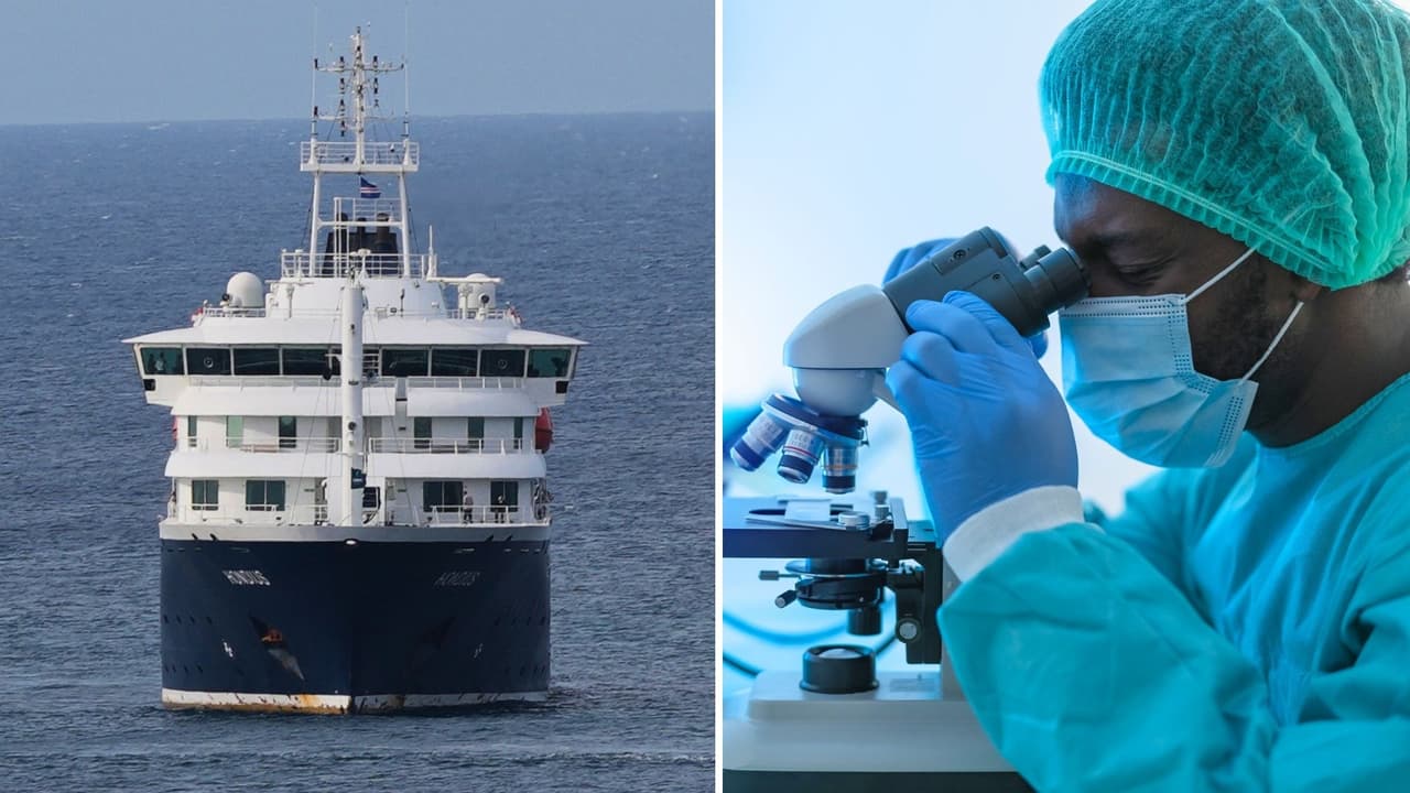 Texas monitorea a dos pasajeros tras brote mortal de hantavirus en un crucero