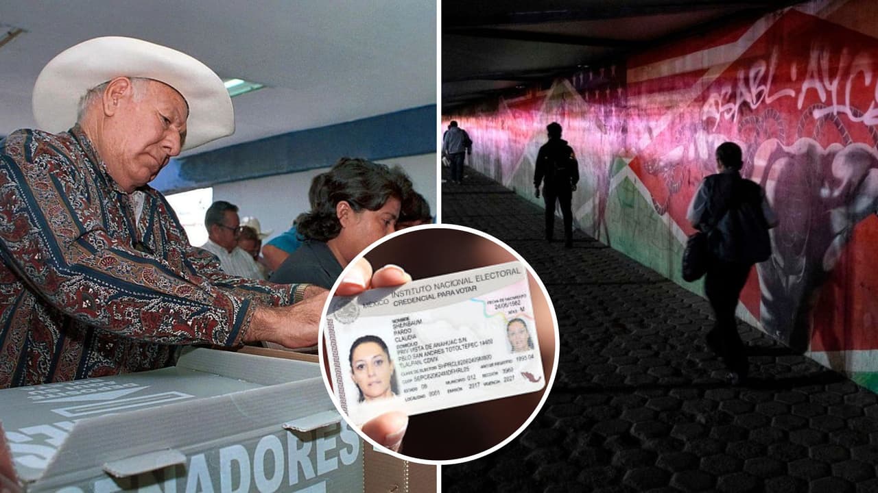 ¿Están protegidos los datos que el INE recopila de los inmigrantes mexicanos en EEUU? Consejera responde