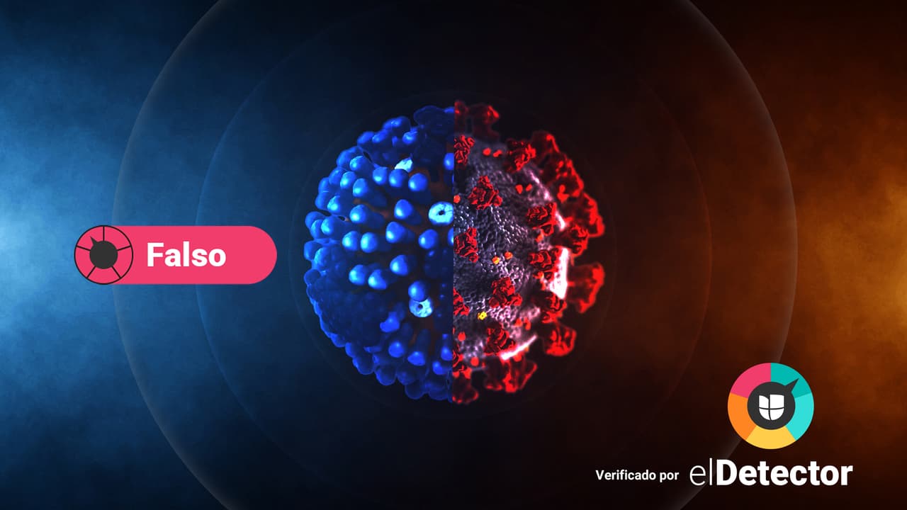 Flurona no es una nueva cepa del coronavirus: 4 desinformaciones que surgieron con su aparición