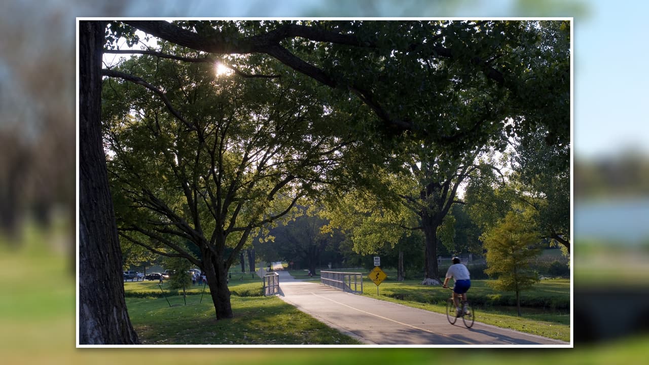 <b>White Rock Lake Park: </b>Un parque para personas de todas las edades,
<b>con espacios abiertos para que los más pequeños puedan jugar y correr al aire</b> libre. Cuenta con áreas para mascotas y vías para ciclistas.
<b>Puedes hacer un pícnic en familia</b>.
<br>💰
<b>¡Gratis! </b>
<br>📆 Abierto todos los días, desde las 6 de la mañana, hasta las 11 de la noche.
<br>📍 8300 E Lawther Dr.