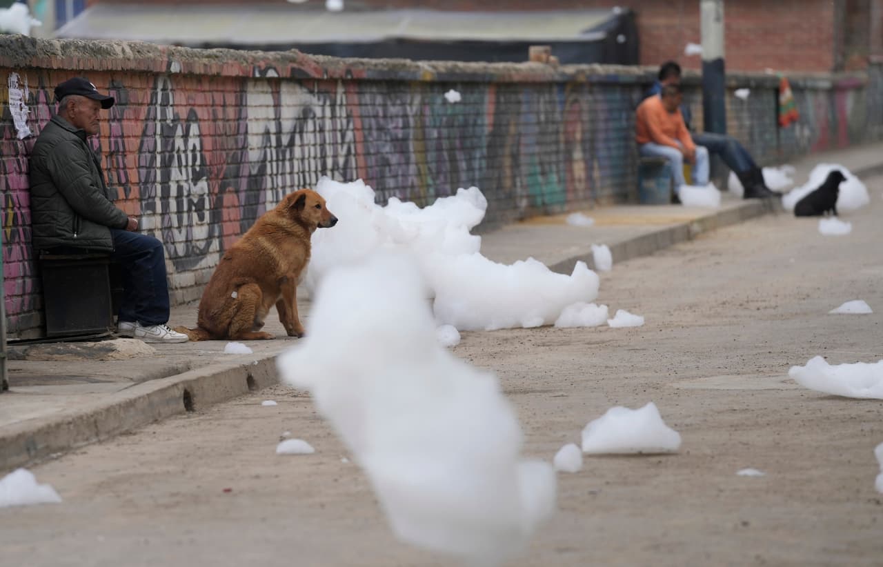 Las autoridades ambientales culpan a los vertidos de una zona industrial, así como a los detergentes domésticos, de producir la fétida espuma.
<br>
<br>