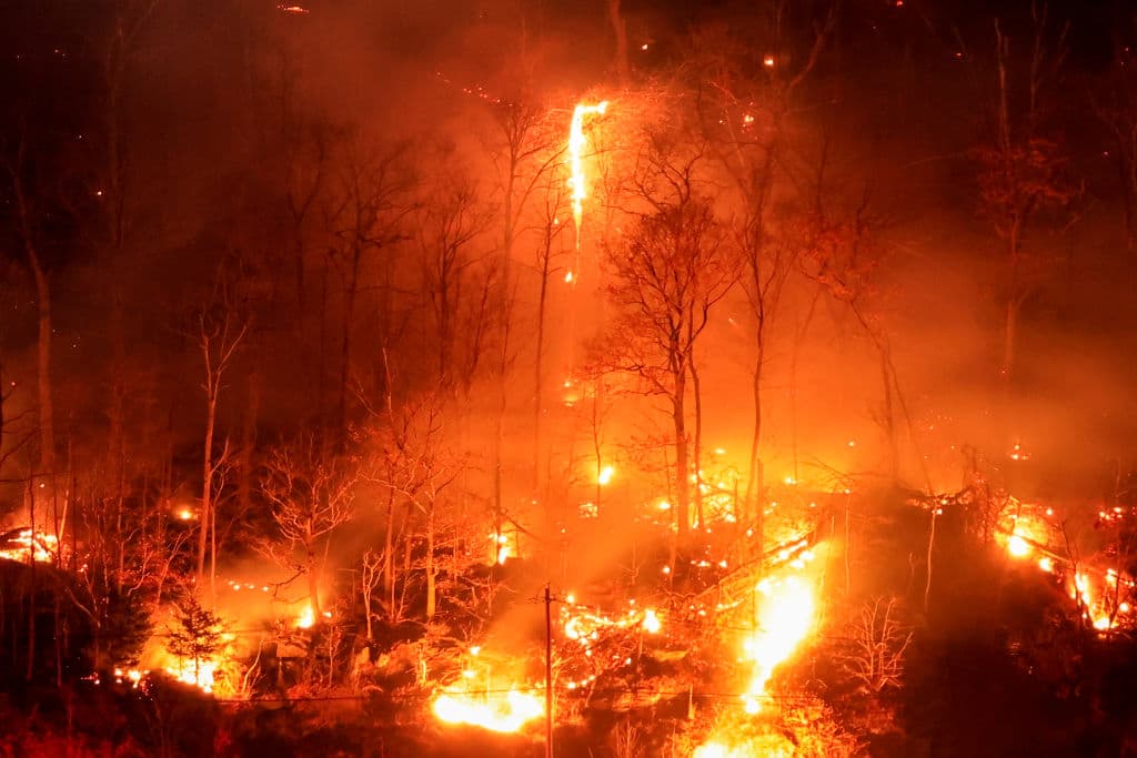 Nueva York en llamas: la sequía histórica desata una ola de incendios sin precedentes