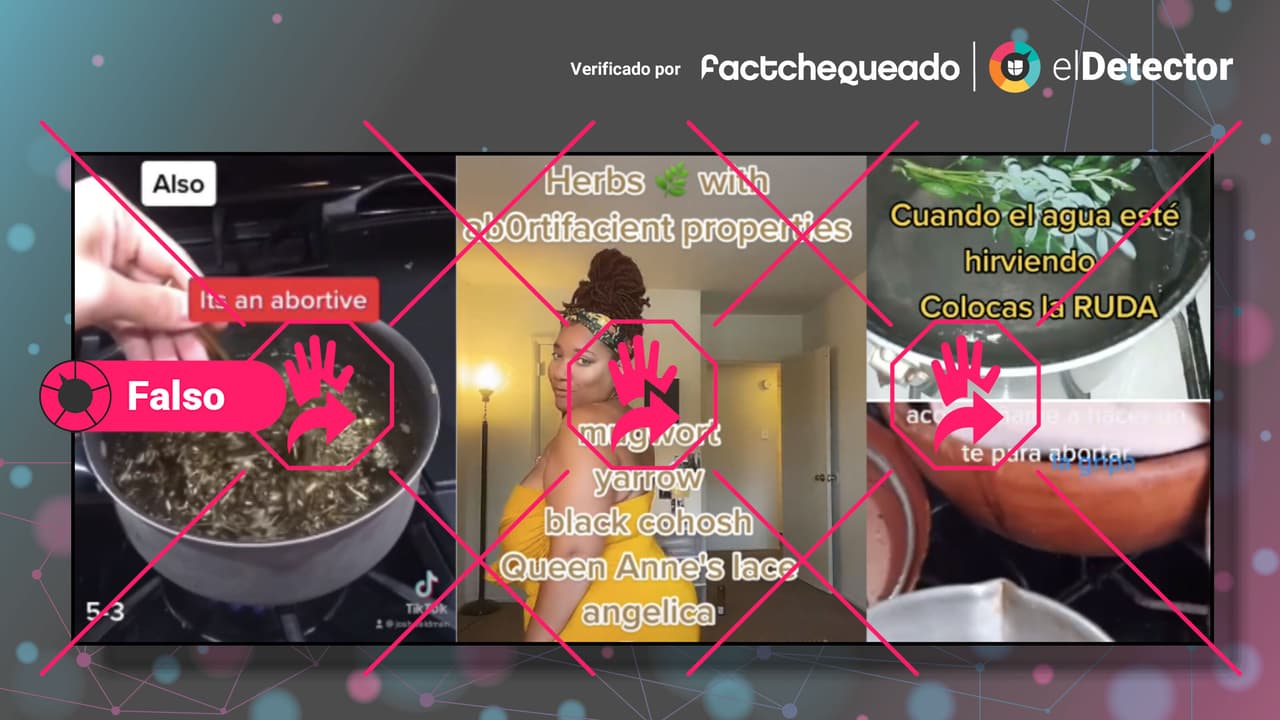 No, no hay métodos a base de hierbas seguros y efectivos para abortar como dicen en TikTok