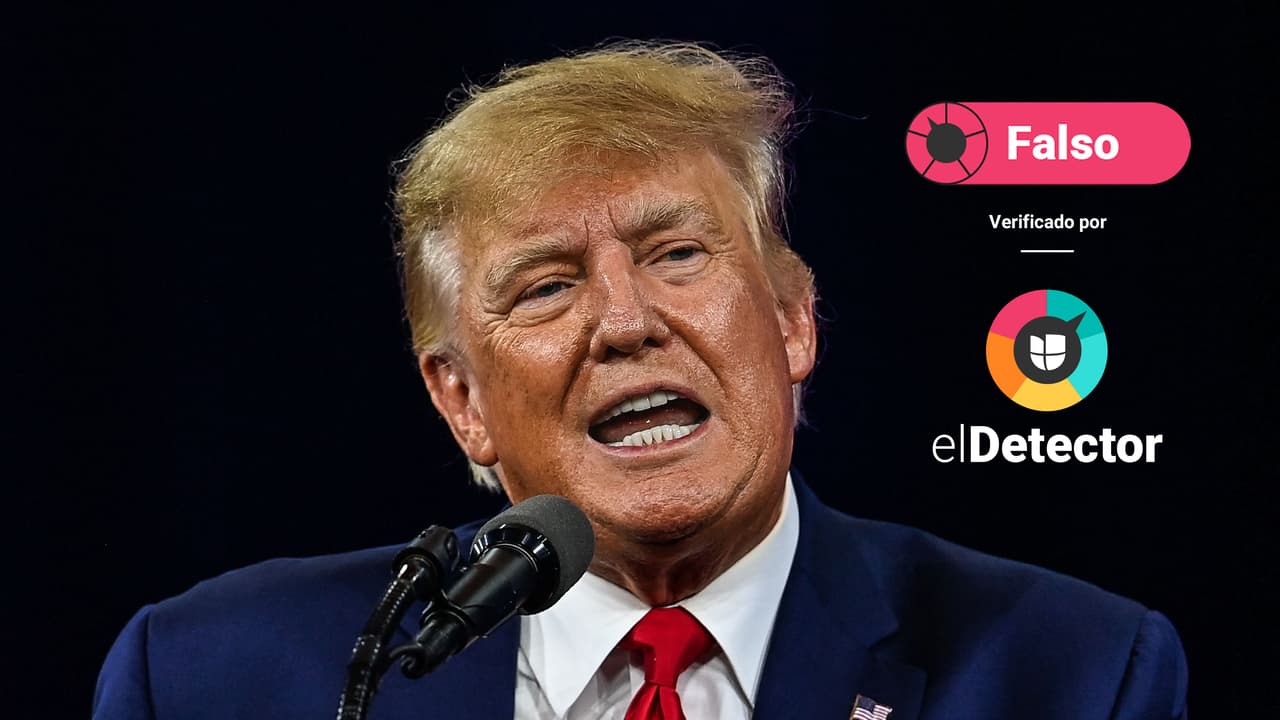 Trump NO fue espiado por la campaña de Hillary Clinton. Eso es falso