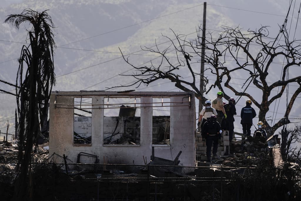 Incendios en Hawaii: unas 850 personas siguen desaparecidas