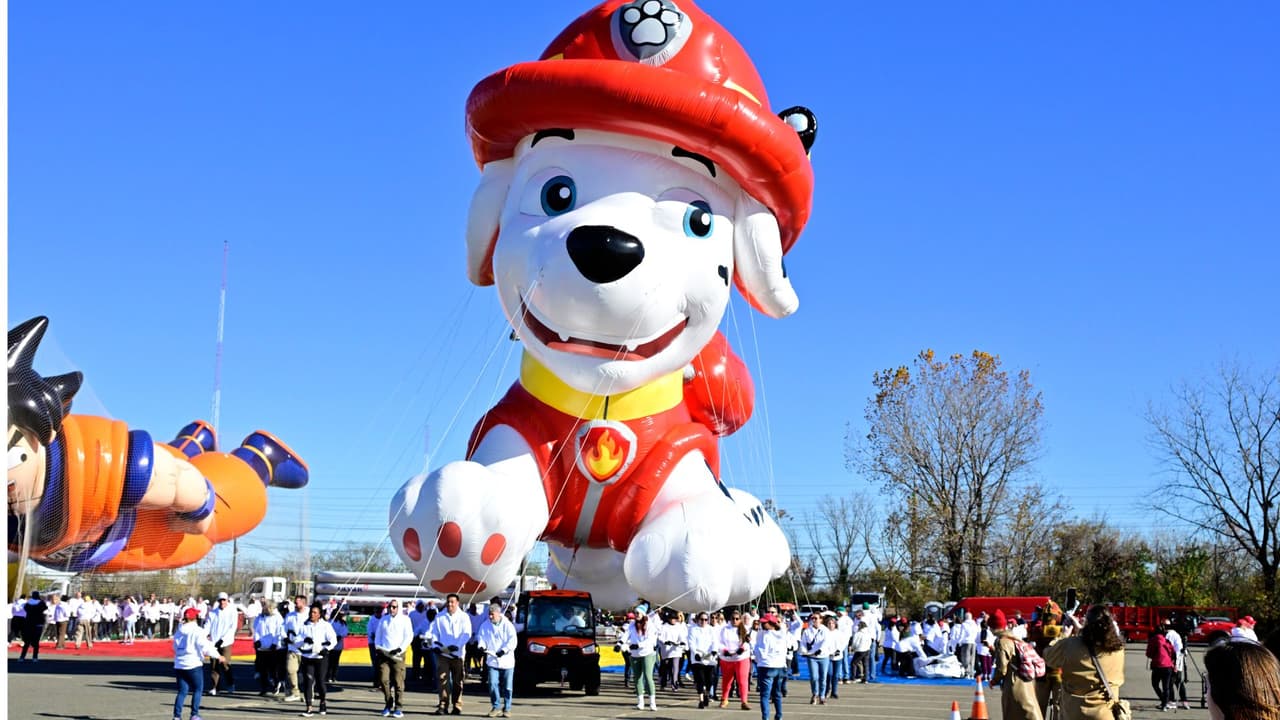 <b>Marshall</b>, integrante de Paw Patrol.
<br>