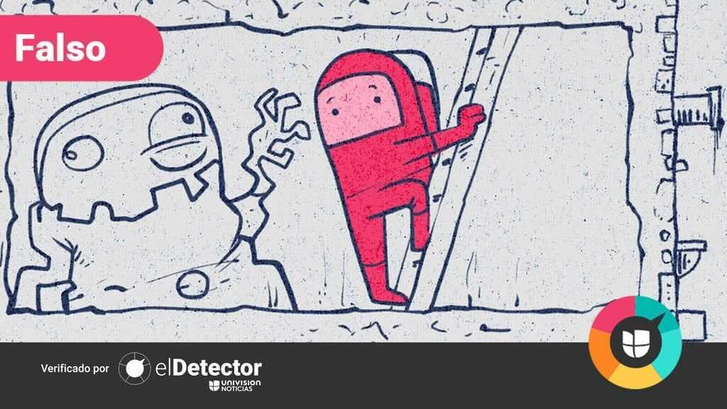 Infografía: Verificamos las falsedades más comunes sobre las vacunas contra el covid-19