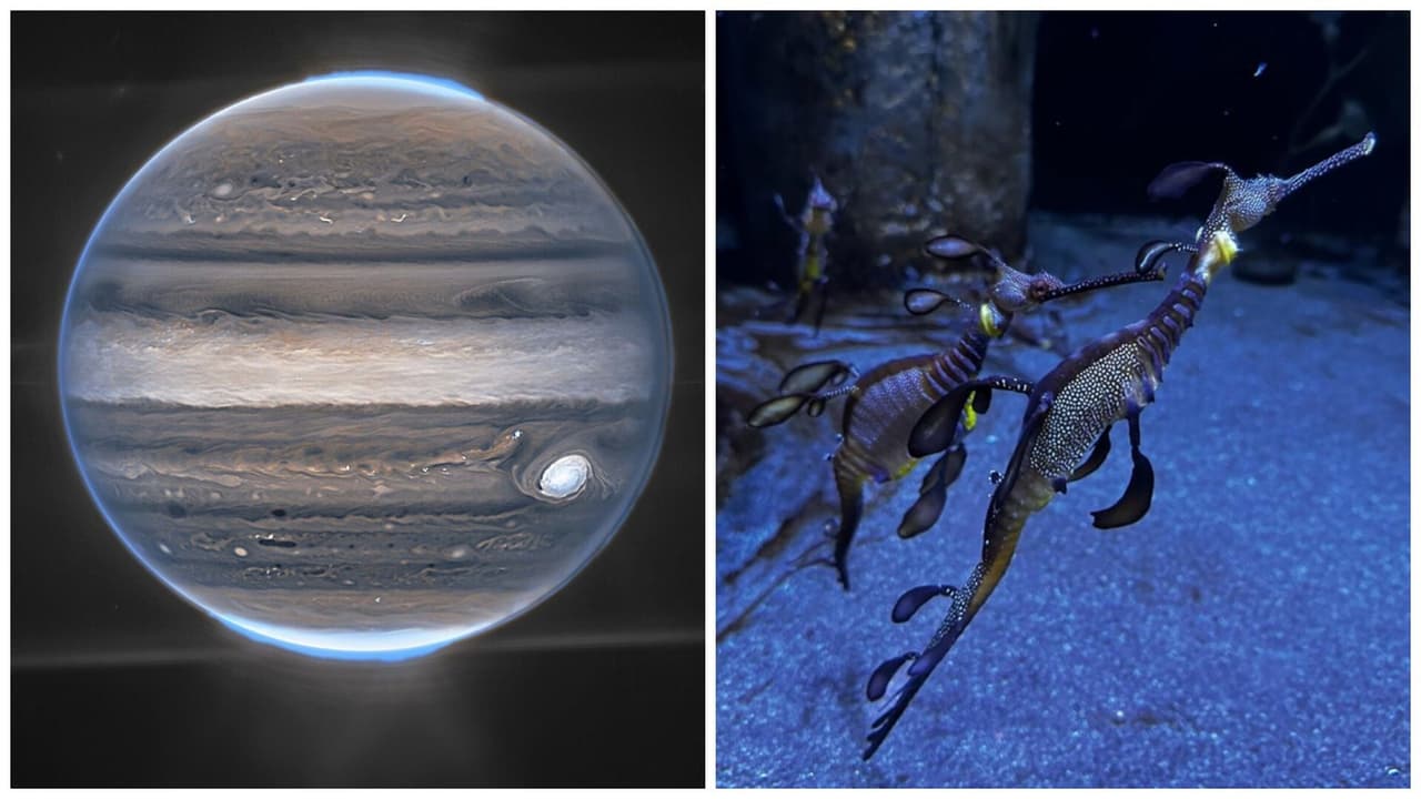 NASA revela que una luna de Júpiter podría albergar vida en sus océanos: esto sabemos