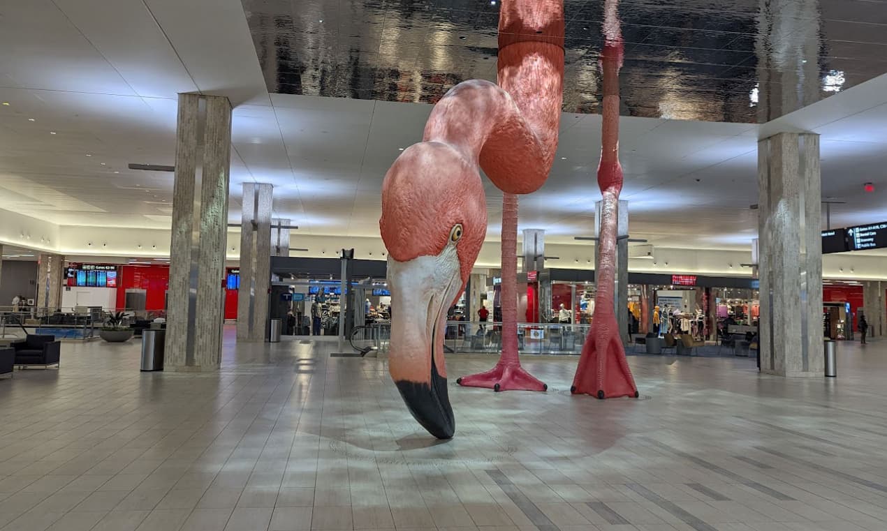 El Aeropuerto Internacional de Tampa realizará ejercicios de emergencias durante la mañana del miércoles