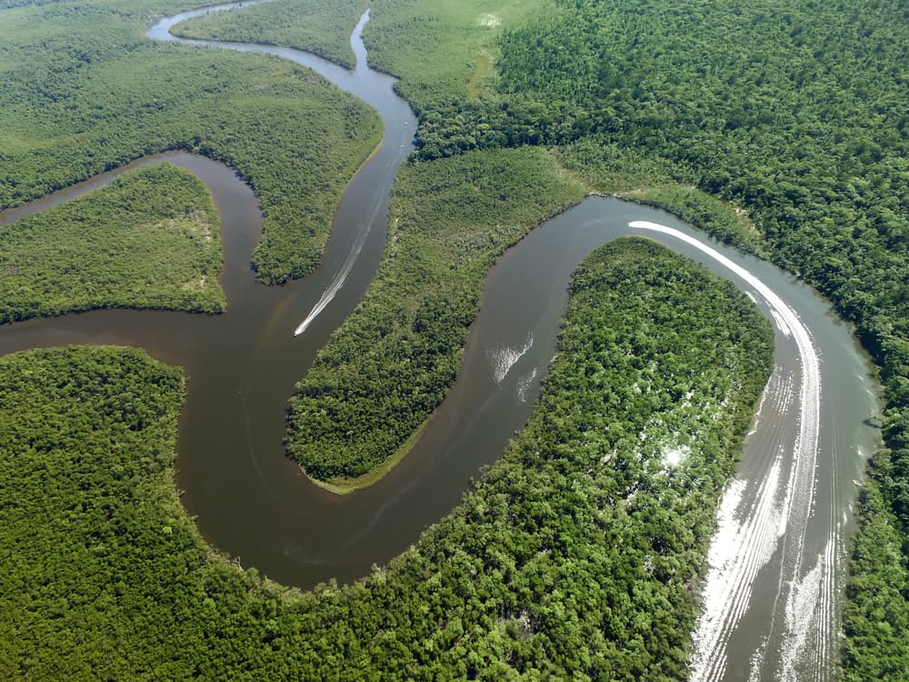El Amazonas podría convertirse en una sabana para siempre: la ciencia tiene 3 terribles predicciones