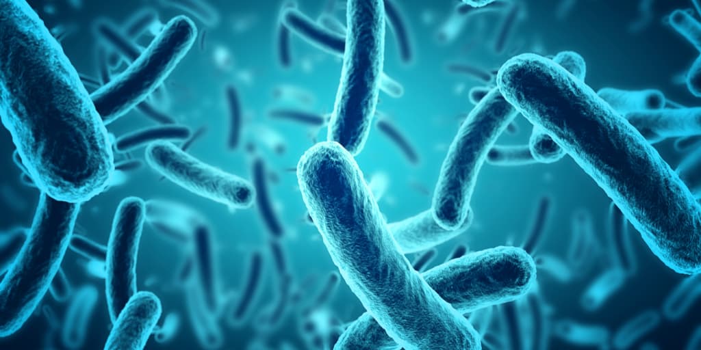 La flora intestinal podría ser la responsable de nuestros hábitos alimenticios