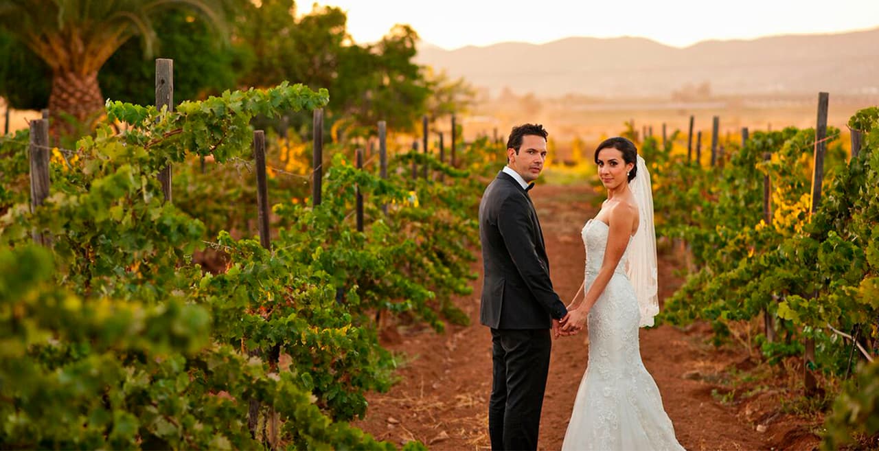 ¿Qué te parecería celebrar tu boda en un viñedo? Con estos tips todo saldrá perfecto