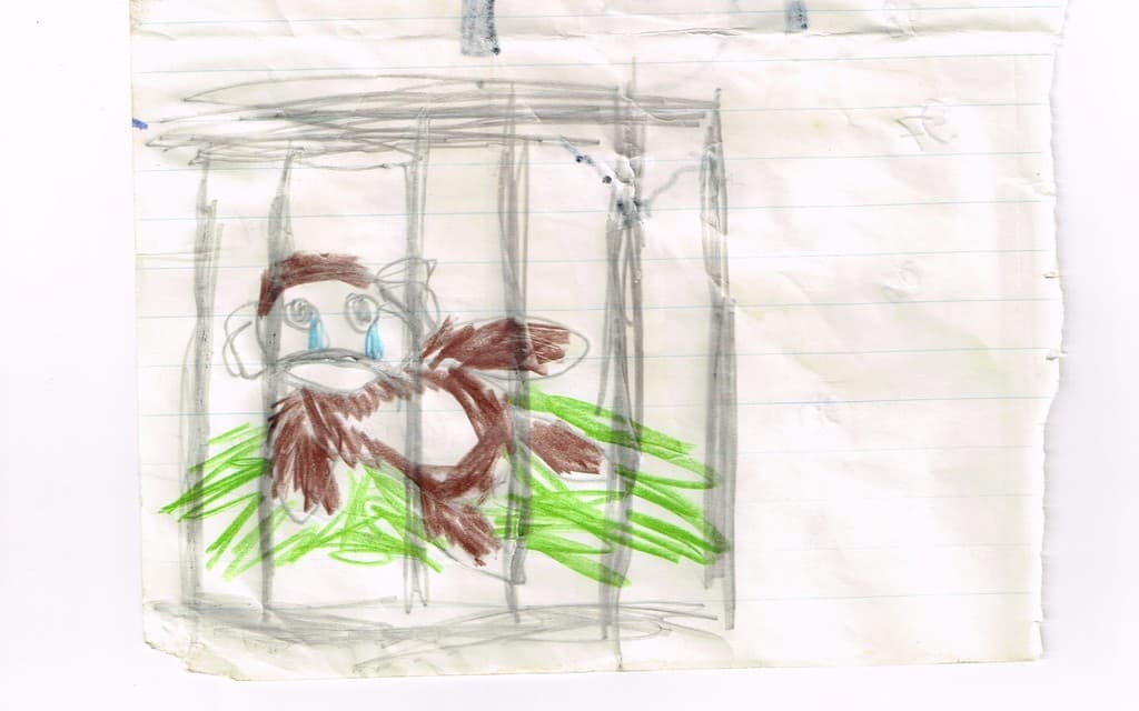 ¿Realmente necesitamos cerrar los zoológicos? Sobre la crueldad y el maltrato animal en América Latina