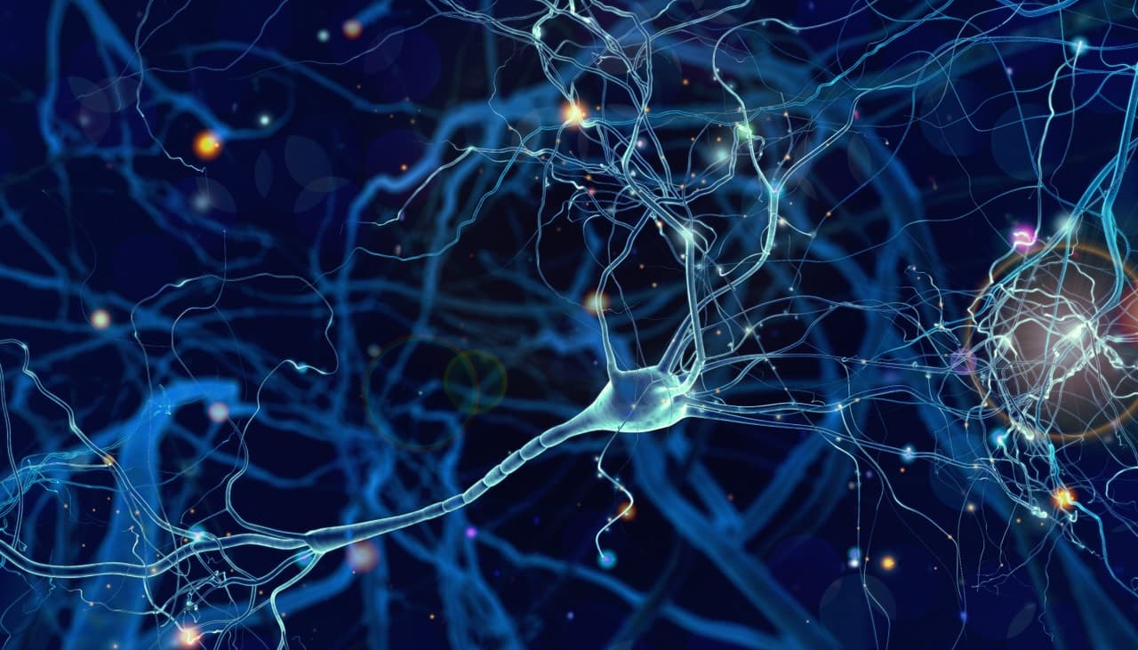 Un chip implantado en el cerebro que «lee» y activa neuronas podría revertir la ceguera y la sordera