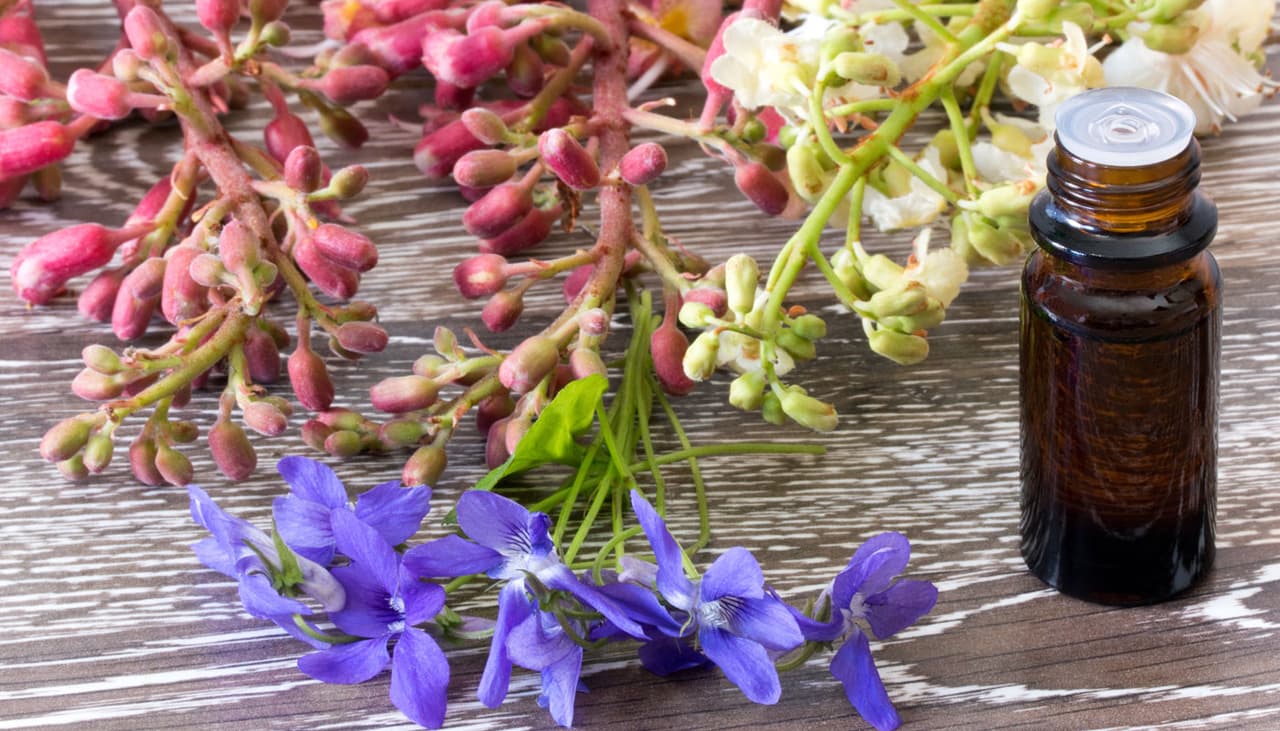 Terapeuta floral recomienda 3 esencias para dejar de comer en exceso por ansiedad