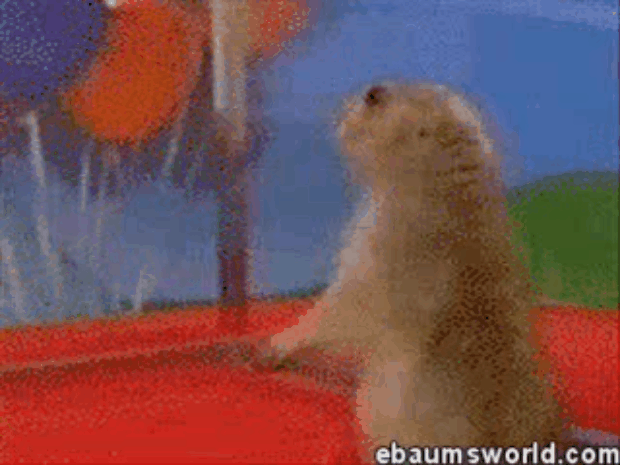 Los misterios más grandes de los sonideros mexicanos