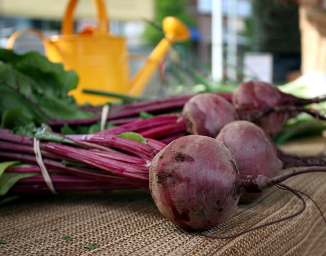 5 formas de incorporar la remolacha a tus recetas que no te puedes perder