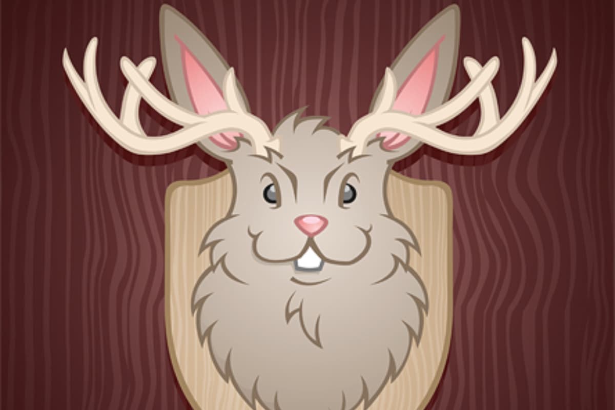 Jackalope: El misterioso conejo con cuernos existe, pero por una triste razón