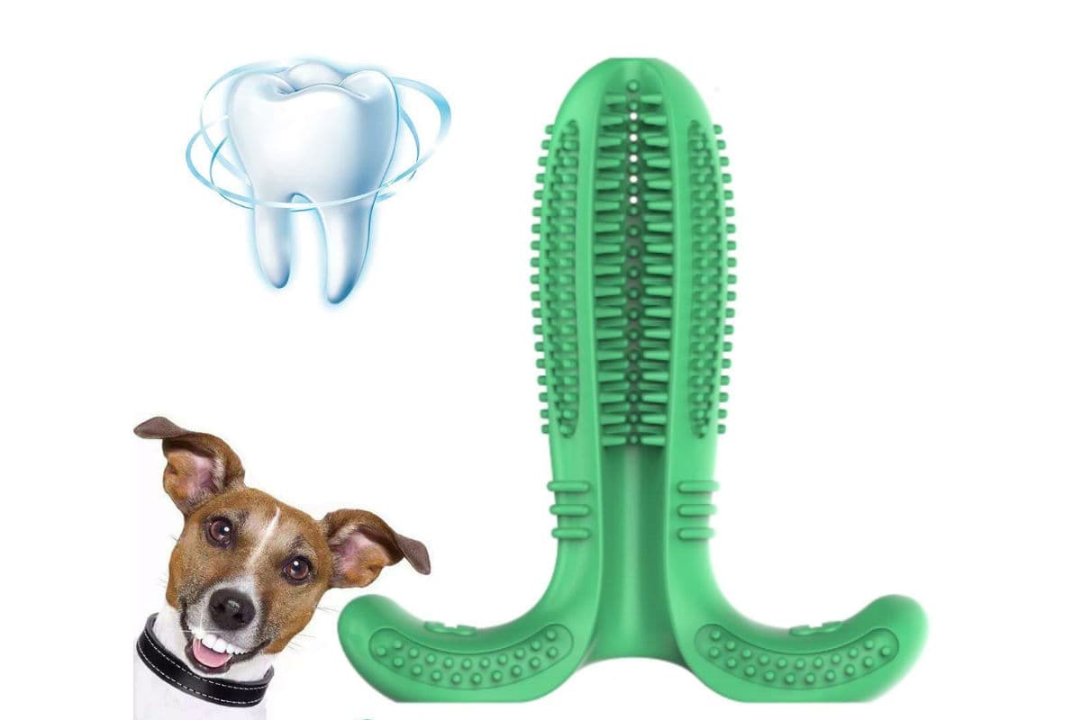 Juguetes para perro que lo harán el más popular del parque