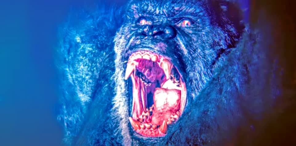 Kong está rifando una golpiza y Godzilla tiene los boletos: 5 razones por las que #TeamKong vencerá