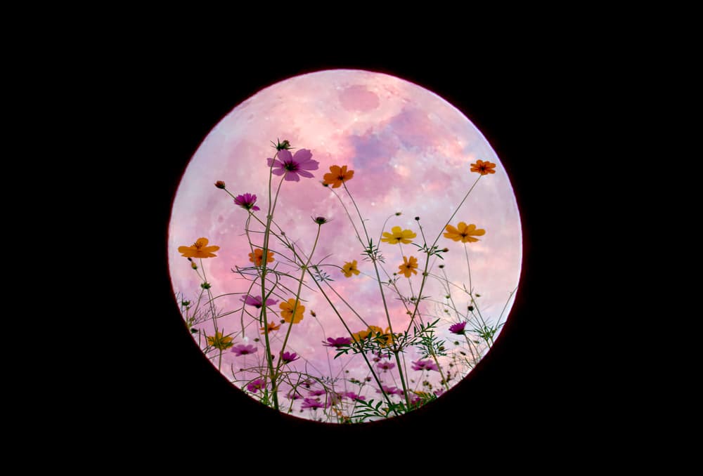 Abril tendrá una superluna rosa y 5 eventos astronómicos que no te puedes perder