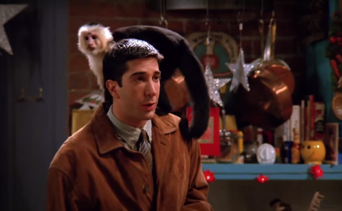 Ross odiaba al mono Marcel en 'Friends': el actor confesó por qué nunca lo quiso