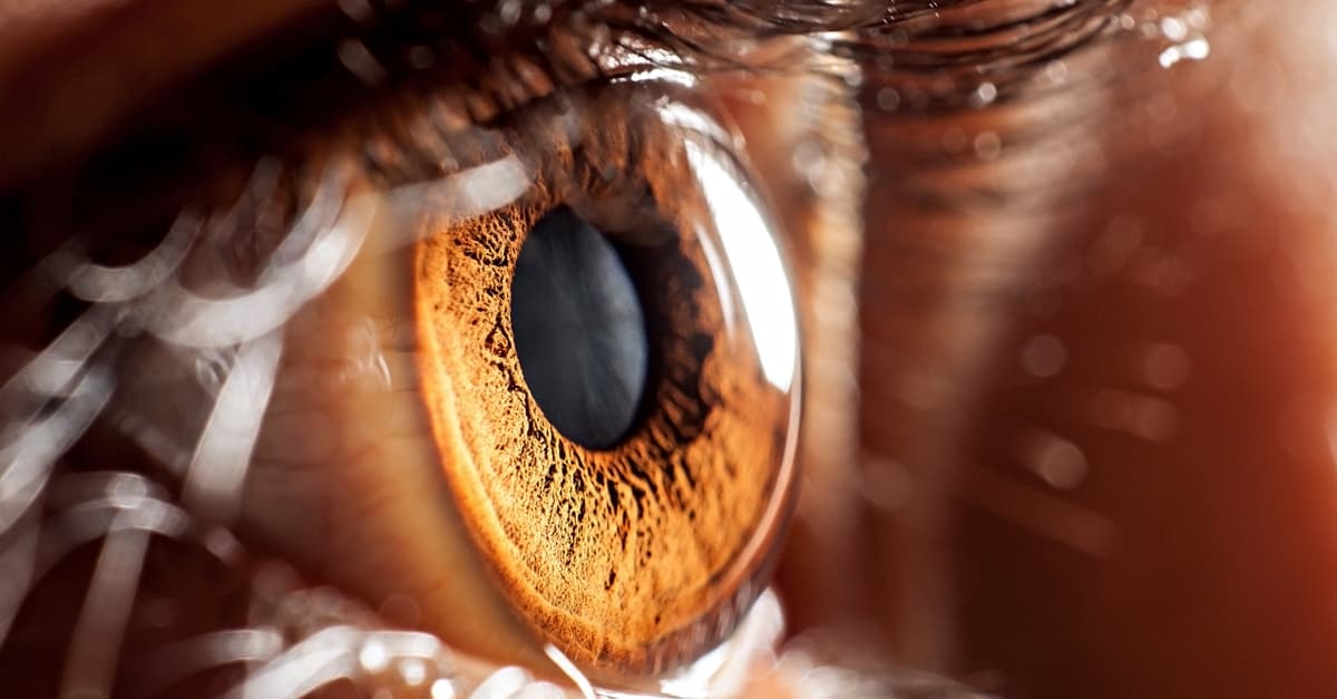 Tus ojos podrían estar albergando a una colonia entera de bacterias para protegerse