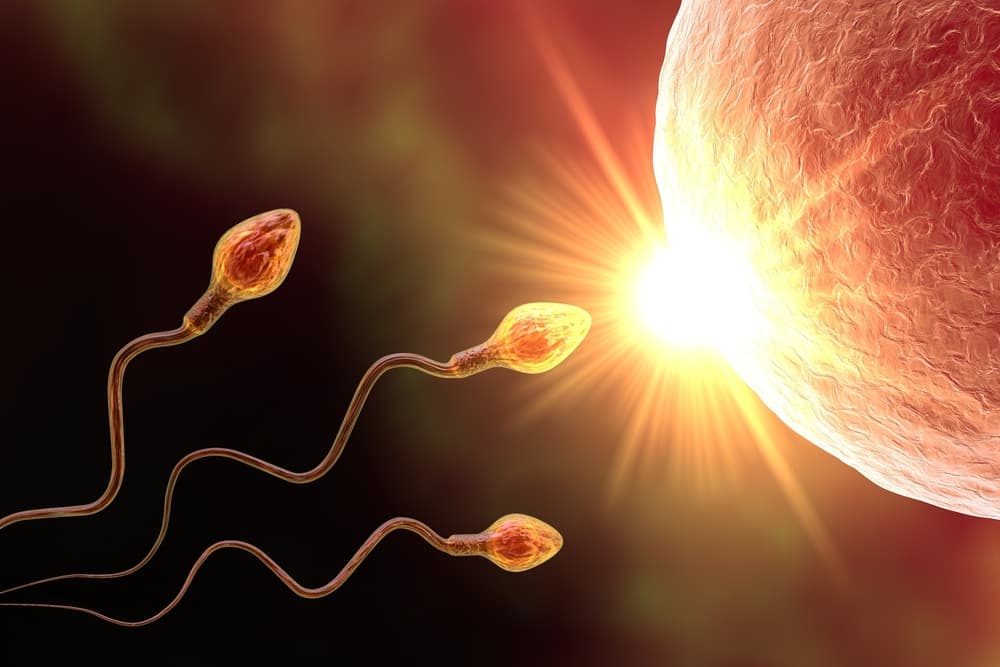 Científicos mandarán espermatozoides a la Luna para salvar a la humanidad: ¿no hay otra opción?