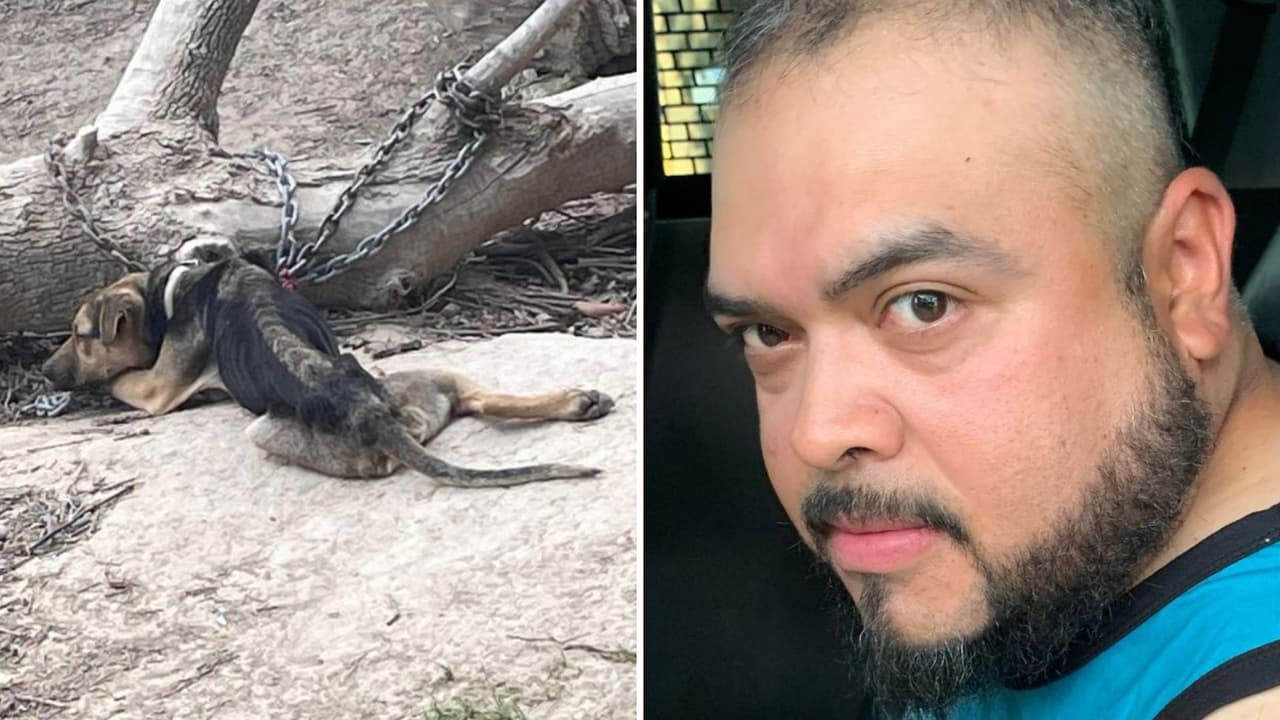 Hallan a perro sin agua y sin comida; dueño es detenido por crueldad animal