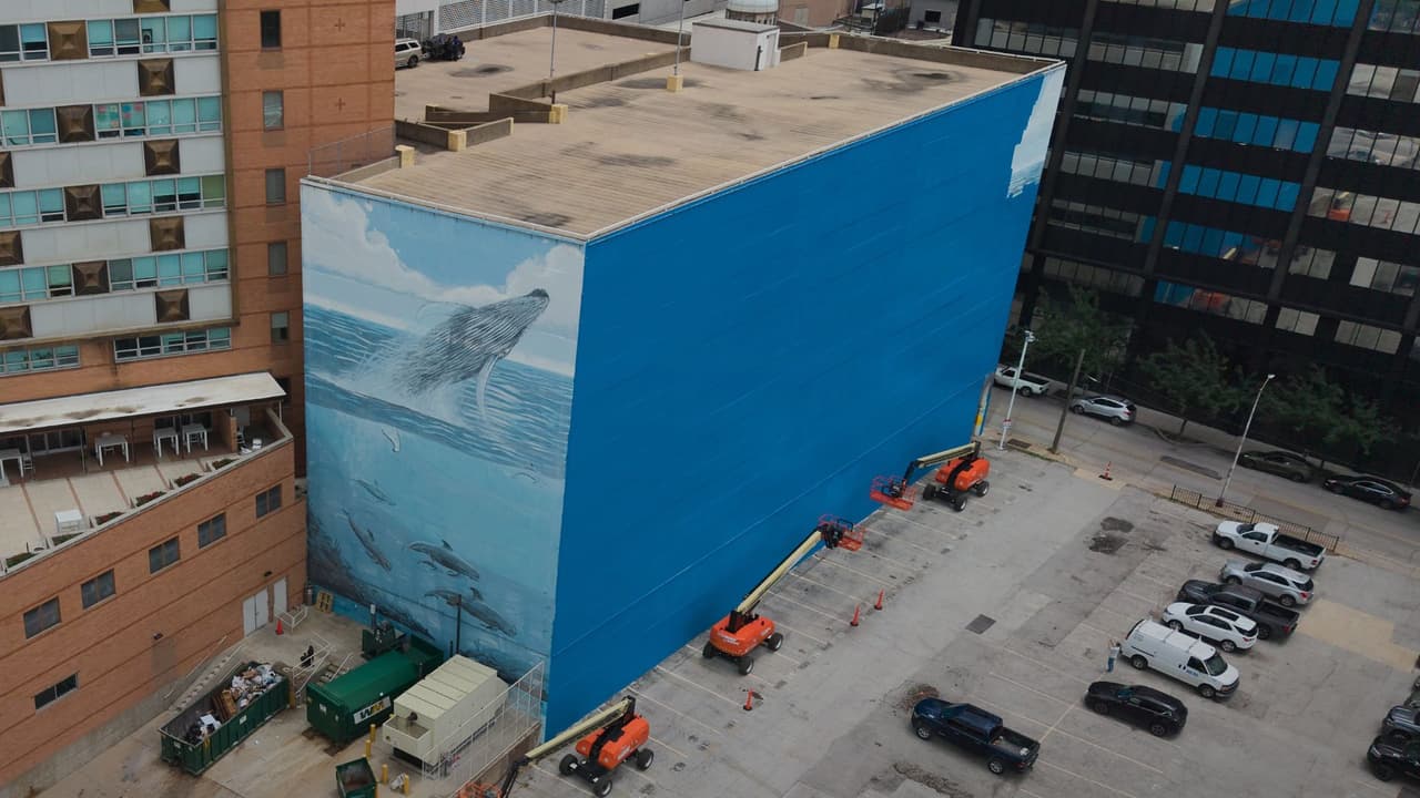 <h3 class="cms-H3-H3">Dallas cambia un mural de ballenas por una obra del Mundial</h3> Un mural de ballenas que durante años formó parte del paisaje del centro de Dallas
<b>fue cubierto para dar espacio a una nueva obra vinculada con el Mundial.</b>
<br>El cambio provocó críticas de residentes, un reclamo del artista Robert Wyland y
<b>nuevas preguntas sobre la protección del arte público en la ciudad.</b>
<br>La obra, conocida como Ocean Life o Whaling Wall 82, estaba en
<b>el edificio ubicado en 505 N. Akard St., en el centro de la ciudad</b>.
<br>
<b>Fue pintada en 1999 por Wyland,</b> un artista y conservacionista reconocido por sus murales de vida marina.
<br>
<a href="https://www.whatsapp.com/channel/0029VafZxTzGpLHXXhtL0Y3A" target="_blank">Únete a nuestro canal de WhatsApp: Haz clic aquí para estar al tanto de las últimas noticias e historias de tu comunidad</a>