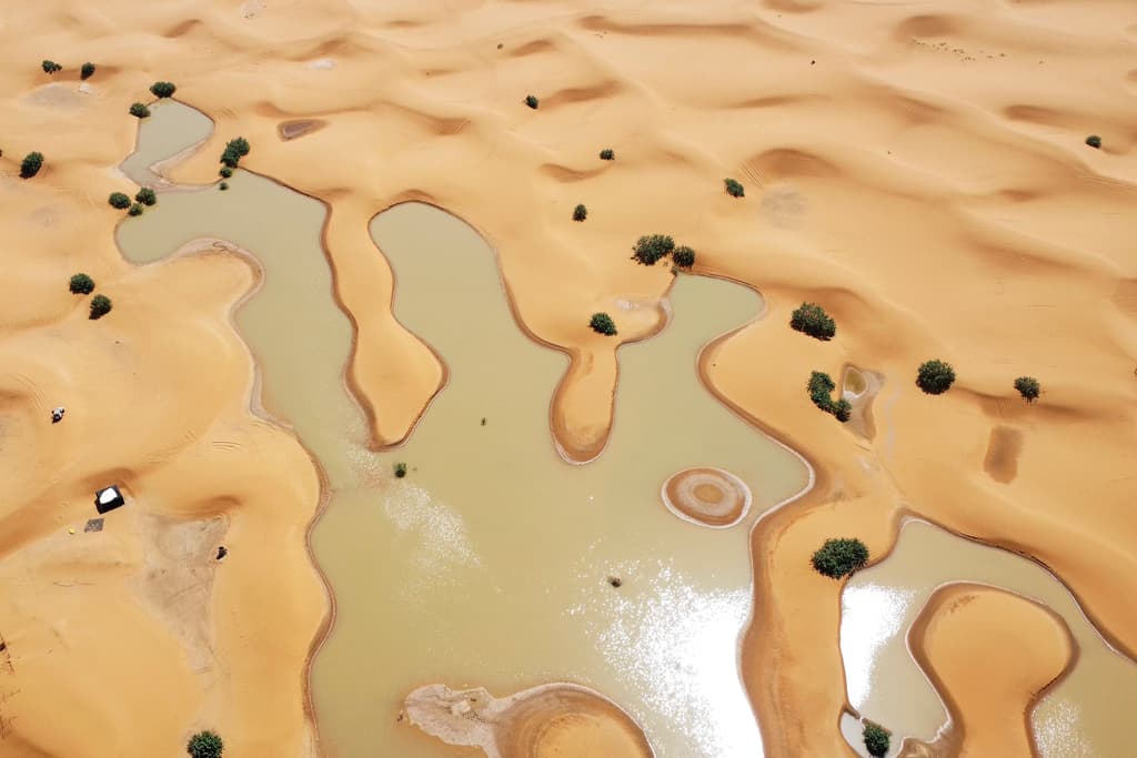 Las impresionantes imágenes del desierto del Sahara inundado tras unas lluvias "históricas"