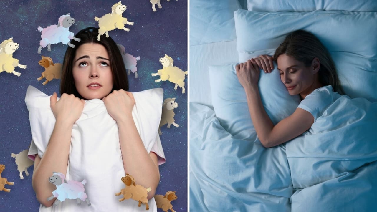 ¿Funciona contar ovejas para dormir? La verdad sobre el famoso remedio para conciliar el sueño